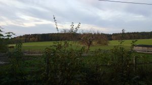 IMG_20191027_170118