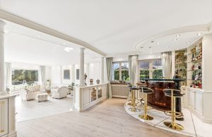 Bar im Salon