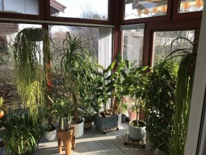 Wiintergarten