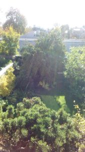Blick vom Balkon im 1.OG